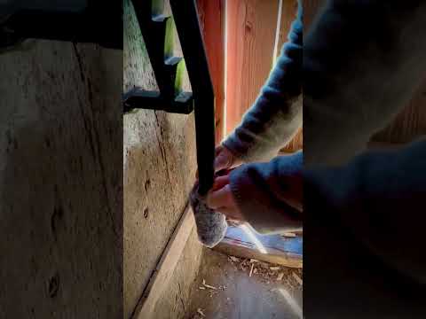 Fluffen - sheepskin handle for grip and warmth